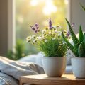 découvrez les meilleures plantes naturelles pour favoriser un sommeil réparateur et améliorer la qualité de vos nuits.